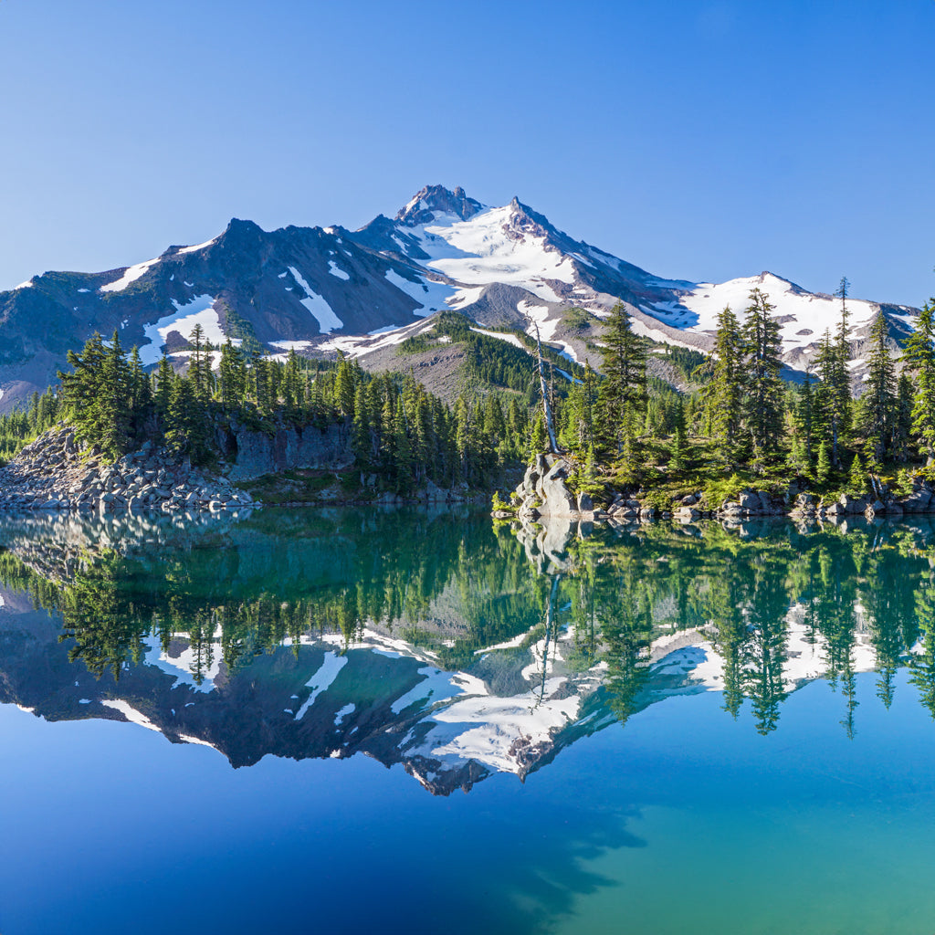 Spring Water vs. Purified Water: Which One's for You?